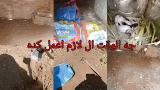 اول تجهيزات الصيف للارانب لازم نعمل كده علشان نحافظ عليهم تربيه الارانب فوق السطح