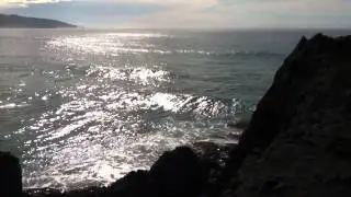Second Beach Clip 1 - Dunedin, New Zealand