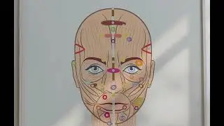 Reflexology Chart of Face and Tongue from www.educare.design