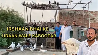 Irshaan Bhai Ke Udaan Wale Kabootar 🕊️ | Dawa, Nuskhe, Breed Tips Aur Tournament 2025 Ki Full Guide