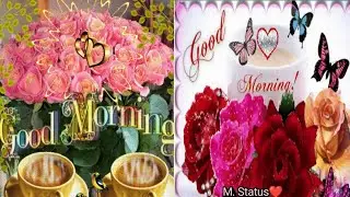 Good Morning❤ Status❤ gif❤ M. Status ll