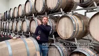 The Frederiksdal Solera system