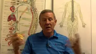 Slipped Disc in Fort Myers FL | San Carlos Chiropractic