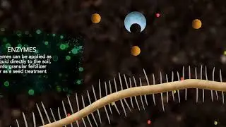 Enzyme Explainer
