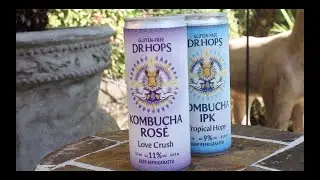 Dr  Hops Kombucha Beer Taste Test