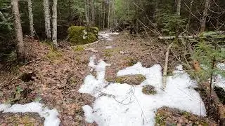 Brule Lake Trail - North Branch Cascade River Crossing to Eagle Mtn. Trail (Part 2 of 2) in the BWCA