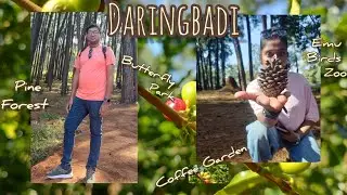 Daringbadi||Coffee Garden||Pine Forest||Emu Birds Zoo||Butterfly Park||Hill View Park||Itchy Feet