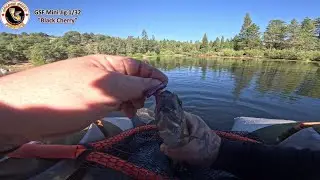 Jigging for Trout l Jenks Lake l Summertime Trout l 100 Fish day!?!
