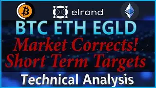 CRYPTO IN THE RED!! Bitcoin, Ethereum, EGLD - Short Term Chart & Price Analysis on this Correction!!