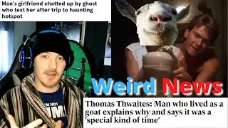 Man has special time with goats - Weird News