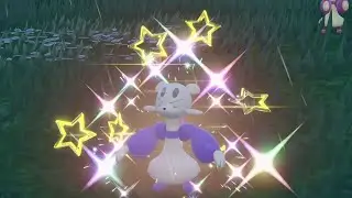 PEV : Kungfouine (Mienfoo) Shiny 3