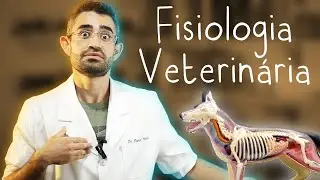 Fisiologia | Disciplinas da Vet #4