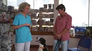 Leishmaniose canine : témoignages de propriétaires face à la maladie