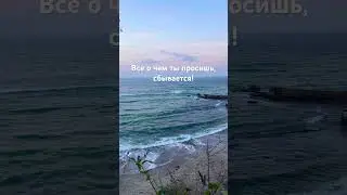 Научись слышать душу, а не ум!