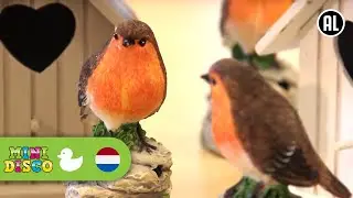 ROODBORSTJE | Kinderliedjes | Kinderdagverblijf | Minidisco