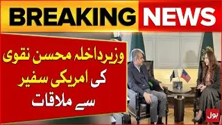 Mohsin Naqvi Meets US Ambassador | Pakistan-US Relations | Bol News