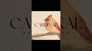 Cardinal on a Branch #artprints  #cardinal  #art #cardinalbird  #cardinalart