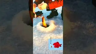 Winter CATCH Of The Day🎣Cute Fish & Ice Fishing Adventure🧊🎏LOVE Wildlife💖FUN Pets✨Funny Animal Video
