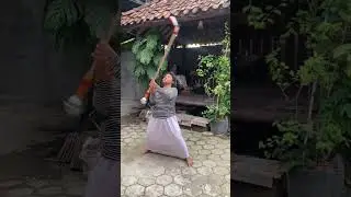 Tongkat mayoret #drumband #shorts #marchingband #shortvideo #mayoret #drumcorps #funny #jogja #fyp