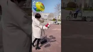 This little puppy would have flown away with the gas balloon 😂|| Must watch ||