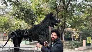 चिड़ियाघर में आज कुछ अलग ही देखने को मिला! 👀🐅 | Zoo Vlog | Wildlife Experience 