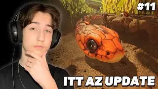 ITT A V&Aacute;RVA V&Aacute;RT UPDATE! 🐝 (Grounded 2) - #11
