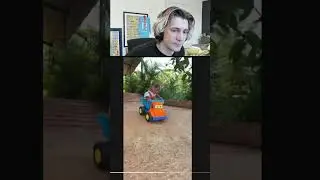 xQc Reacts To Cute Monkey Driving Toy Car Down Hill #xqc #xqcreact #funny #animals #cute