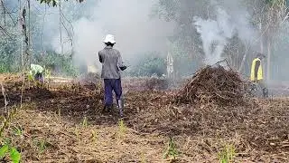 MAS OKI & PAK KARNI BANTU WANI RANTAU BERSIHKAN LAHAN UNTUK TANAM PADI
