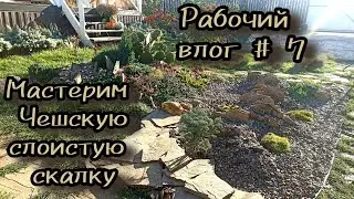 Чешская скалка. Секрет идеального альпинария. Мой опыт создания. 