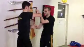 SAM LAU WING CHUN SWITZERLAND OPENING EVENT 2013