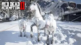 Domando o MUSTANGUE-ZEBRA nos confins das montanhas nevadas  -  O Domador de Cavalos  -  60