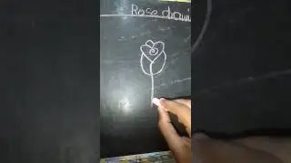 Rose drawing by Sayali