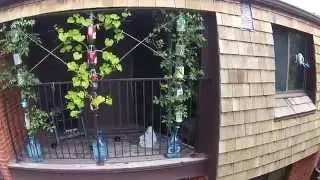 3Dponics - Free 3D-Printable Hydroponics System - Recycle Old Bottles