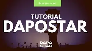 DapoStar: Tutorial II