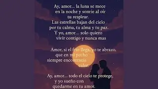 Noche Romantica