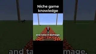 Minecraft Niche Game Knowledge