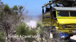 Outback & Camel Safari In Los Cabos