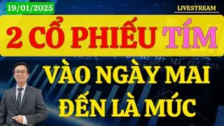 Nhận định thị trường | Chứng khoán hôm nay 19/01 : 2 CỔ PHIẾU TÍM VÀO NGÀY MAI - ĐẾN LÀ MÚC