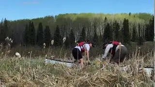 Canoe trip: Beartrap Lake, Prince Albert National Park