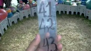 El Juego del Cuy