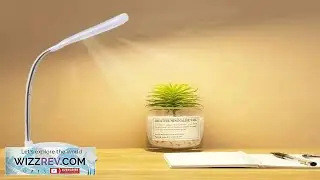 Foldable LED Desk Lamp Battery Powered NightLight Studying Bedroom (White Light)
