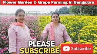 The BEST of Bangalore Flower Garden & Grape Farming