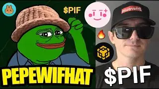 $PIF - PEPE WIF HAT TOKEN PRESALE CRYPTO COIN HOW TO BUY PIF BNB BSC IDO WifHat PepeWifHat MEMECOIN