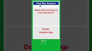 General Knowledge Questions & Answers | Improve Knowledge | Free School #shortsvideo #shorts