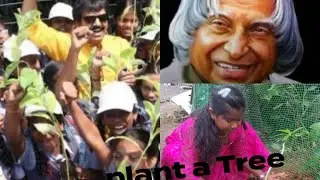 Plant trees/ #greenkalam #greenvivek #sweety #nature #inshot