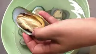КАК ПОЧИСТИТЬ МИДИИ