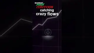 Crypto Treasury = 🚀