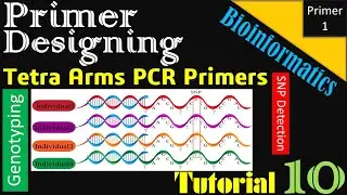 How to Design Tetra ARMS PCR Primers | Tutorial 10