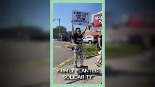 Cement Protest: PETA Stands Against Dairy Cruelty at Starbucks