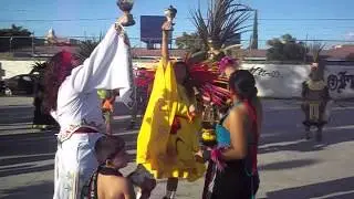 Miztli cuatro rumbos
